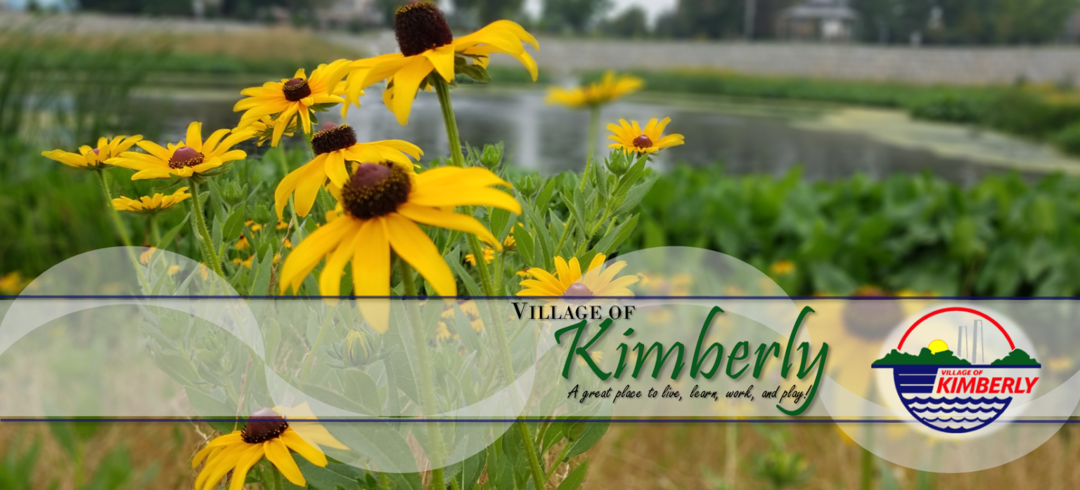 Cover Photo - Summer